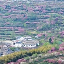 宁波旅游 缩略图 13