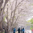 宁波旅游 缩略图 8