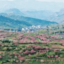 宁波旅游 缩略图 15