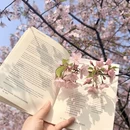 合肥旅游 缩略图 13
