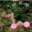 绍兴旅游 缩略图 1