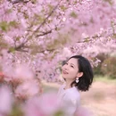 合肥旅游 缩略图 12