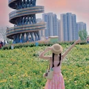 合肥旅游 缩略图 17