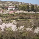 绍兴旅游 缩略图 4