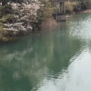 绍兴旅游 缩略图 3