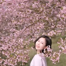 合肥旅游 缩略图 15