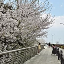 绍兴旅游 缩略图 4