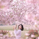 合肥旅游 缩略图 5