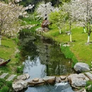 合肥旅游 缩略图 9