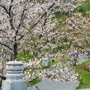 合肥旅游 缩略图 10