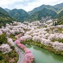 绍兴旅游 缩略图 1