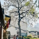 绍兴旅游 缩略图 14