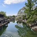 绍兴旅游 缩略图 13