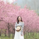 绍兴旅游 缩略图 7