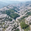绍兴旅游 缩略图 5