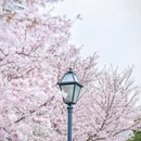 合肥旅游 缩略图 3