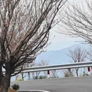 绍兴旅游 缩略图 8