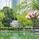 合肥旅游 缩略图 6