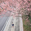 合肥旅游 缩略图 1