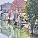 绍兴旅游 缩略图 17