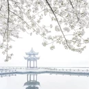 绍兴旅游 缩略图 18
