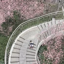 合肥旅游 缩略图 8