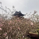 绍兴旅游 缩略图 2
