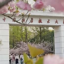 合肥旅游 缩略图 4