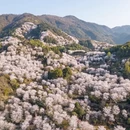 绍兴旅游 缩略图 9