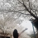 绍兴旅游 缩略图 7