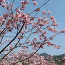 绍兴旅游 缩略图 4