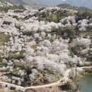 绍兴旅游 缩略图 6