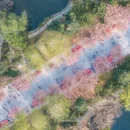 合肥旅游 缩略图 2