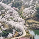 绍兴旅游 缩略图 7