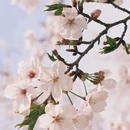 合肥旅游 缩略图 4
