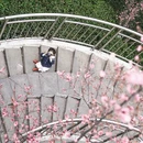 合肥旅游 缩略图 7