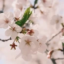 合肥旅游 缩略图 5