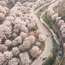 绍兴旅游 缩略图 1