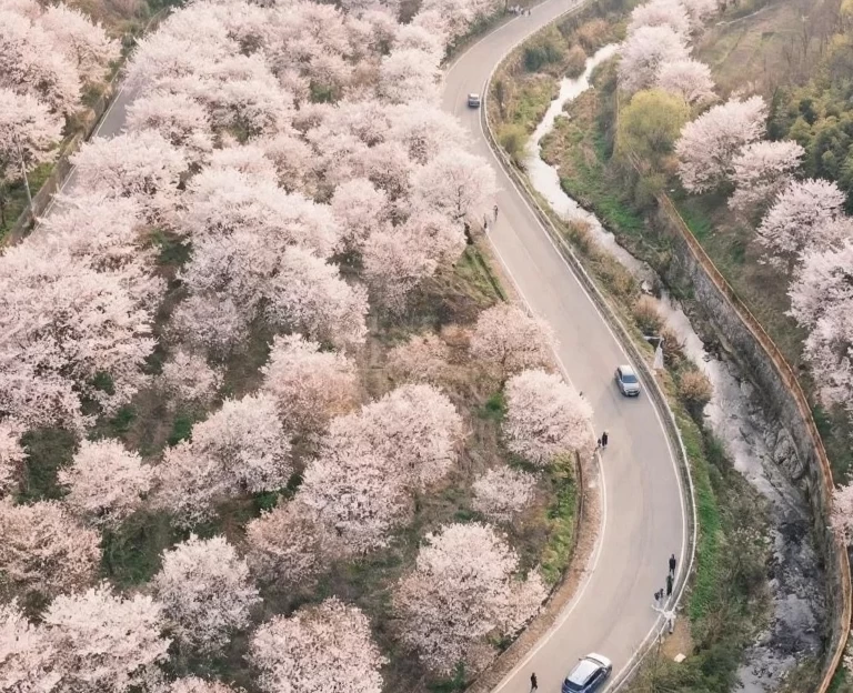 绍兴旅游 1