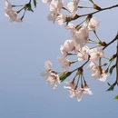 合肥旅游 缩略图 6