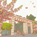 合肥旅游 缩略图 3