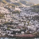 绍兴旅游 缩略图 8