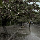 合肥旅游 缩略图 5