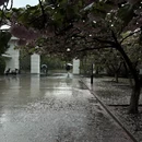 合肥旅游 缩略图 4