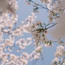 合肥旅游 缩略图 10