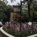 合肥旅游 缩略图 6
