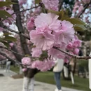 合肥旅游 缩略图 3
