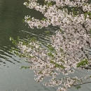 绍兴旅游 缩略图 2