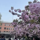 合肥旅游 缩略图 6