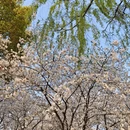杭州旅游 缩略图 1